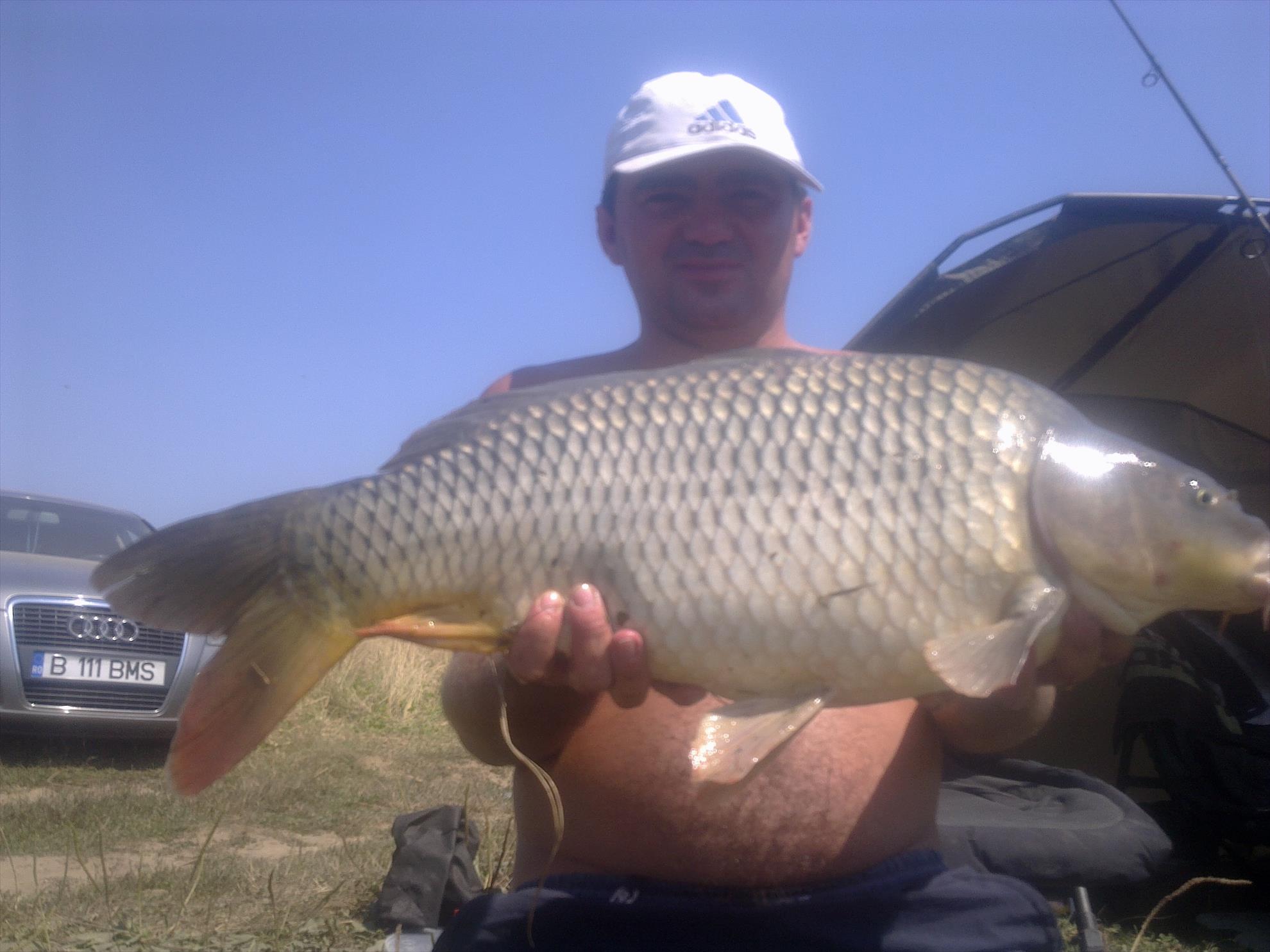 catch & release - 250820102241.jpg